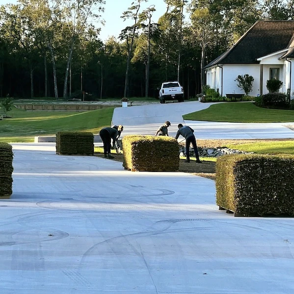 sod installation